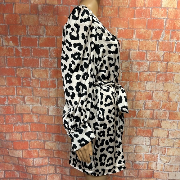 H&M Animal Print Balloon Sleeved Satin‎ Dress - Picture 8 of 16